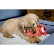 Orange plush dog toy with squeaker, golden puppy chewing on a sofa cushion