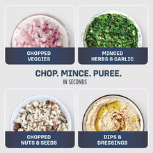 Food chopper infographic with chopped, minced, pureed, and dipped icons