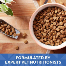 Bowl of dry dog food kibble with chicken, sweet potato & pumpkin, with scoop