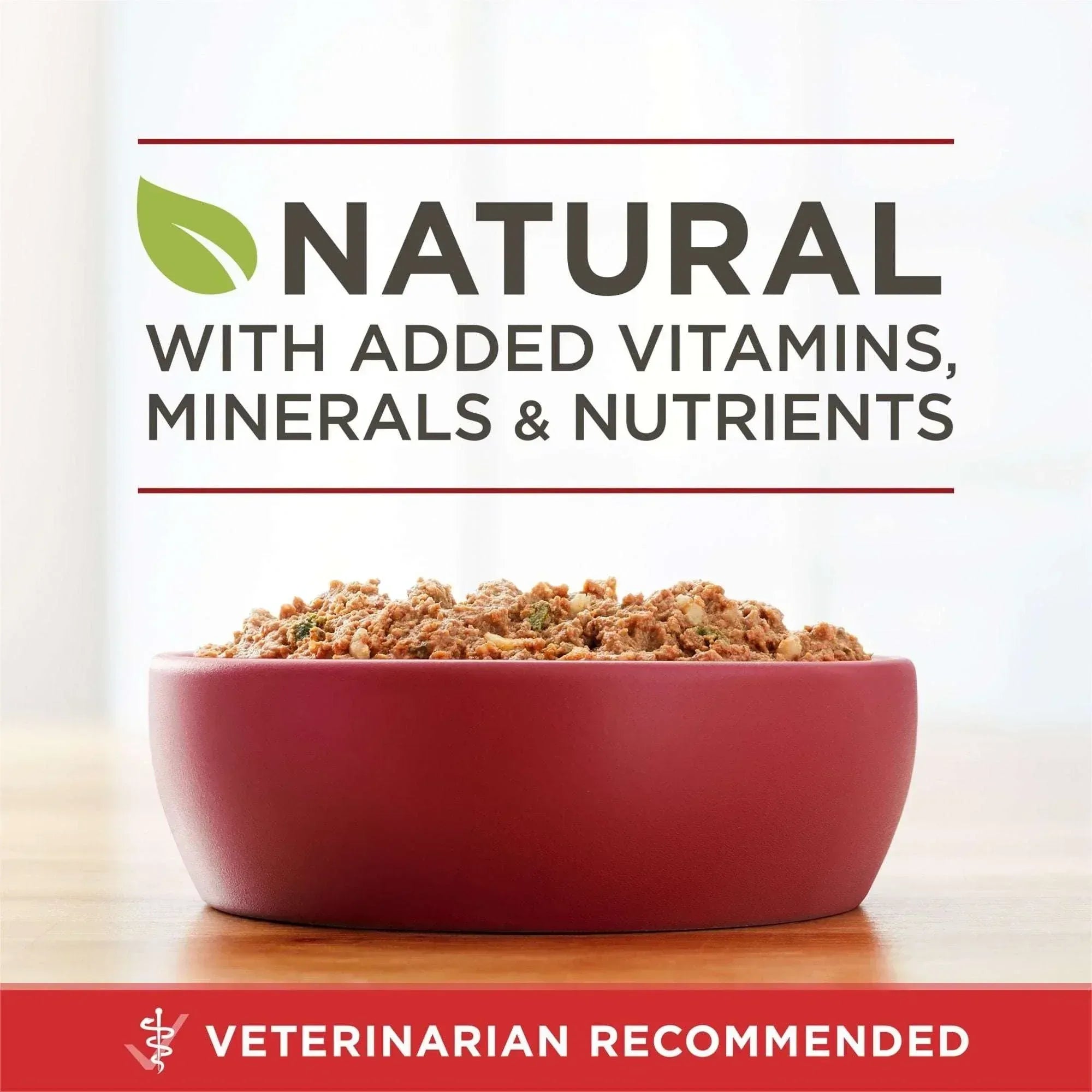 Purina ONE Natural Wet Dog Food, High Protein Soft Beef & Brown Rice Barley, 13 oz Can