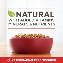 Natural wet dog food bowl graphic with added vitamins, minerals and nutrients text.