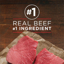 Purina ONE label with #1 real beef ingredient and visible beef slices.