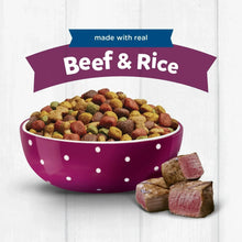 Purina Puppy Chow beef and rice dog food kibble in bowl with beef cubes