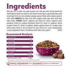 Dog food ingredients and guaranteed analysis panel with kibble and bowl