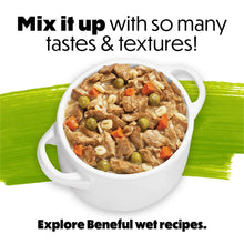 Dry dog food serving in white bowl with mixed kibble pieces