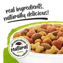 Dry dog food kibble pile with natural vitamins and minerals badge