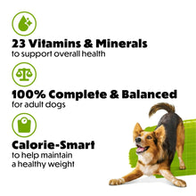 Dog food promotion card with dog and icons for vitamins, minerals, balanced nutrition