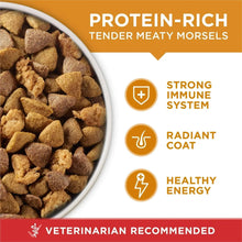 Protein-rich tender meat morsels kibble in a bowl, with immune and coat icons