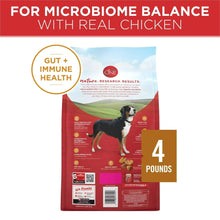 Chicken and rice dry dog food bag, 4 lb, gut + immune health badge