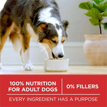 Adult dog eating from a bowl of dry food, with 100% nutrition and 0% fillers