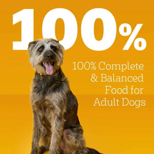 100% complete & balanced wet dog food for adult dogs label with dog photo