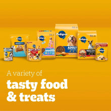 Assorted Pedigree dog food and treat products variety display