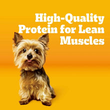 High-Quality Protein for Lean Muscles graphic with small dog portrait
