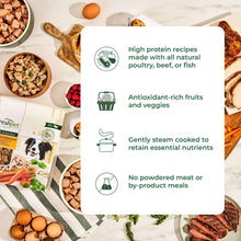 Dog food recipes benefits infographic with bowls of poultry, vegetables, and fruits