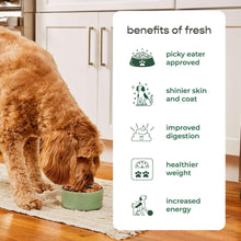 Dog eating from a bowl beside benefits infographic for fresh dog food