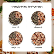 Dog food transition chart showing days 1-3, 4-6, 7-10, and success