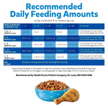 Recommended daily feeding amounts chart with kibble bowl and chicken drumstick graphic