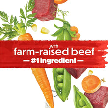 Dry dog food graphic with farm-raised beef text and vegetable illustration