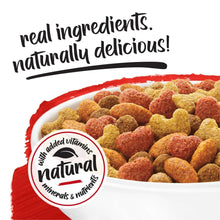 Purina Beneful Originals kibble photo on red panel with added vitamins and minerals badge