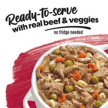 Ready-to-serve beef and veggie wet dog food in a bowl