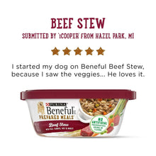 Purina Beneful beef stew wet dog food tub with No Artificial Preservatives seal