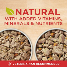 Wet dog food in two bowls, natural recipe with added vitamins, minerals, and nutrients