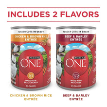 Purina ONE wet dog food cans: chicken & brown rice and beef & barley entree