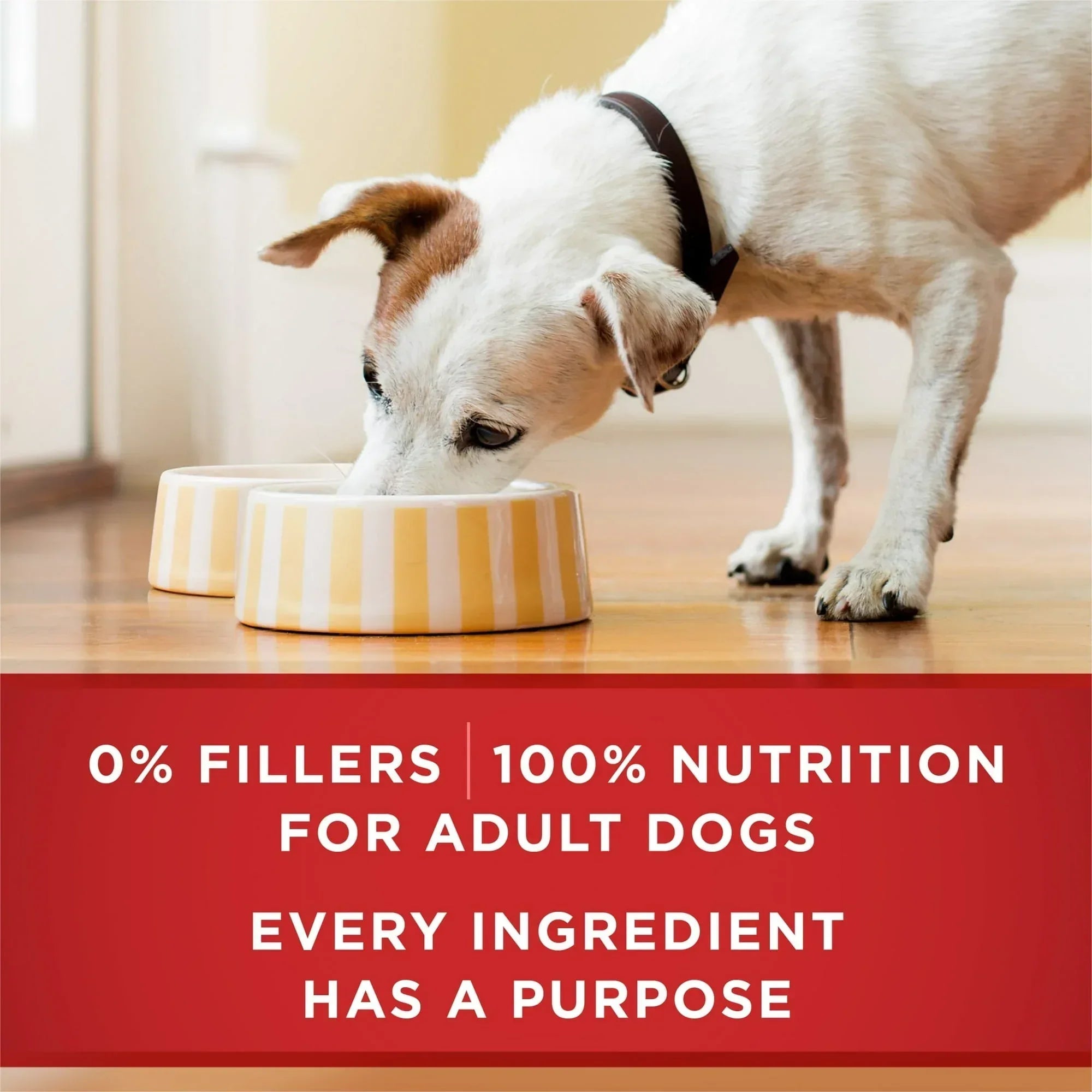 Purina ONE Tender Cuts in Gravy Chicken and Brown Rice, and Beef and Barley Entrees Wet Dog Food Variety Pack, 13 oz Cans (6 Pack)