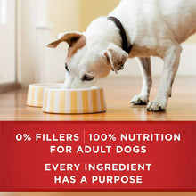 Dog eating from a bowl of wet dog food with 0% fillers message banner