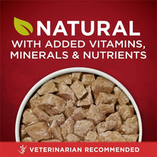 Wet dog food nutrition panel with bowl of meat in gravy