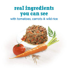 Wet dog food ingredient photo: meat mix bowl with tomatoes, carrots, wild rice