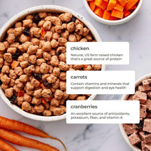 Small dog chicken kibble with carrots and cranberries in ingredient-labeled bowls