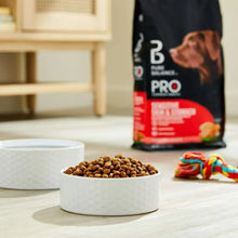 Brown kibble in white bowl with black dog food bag