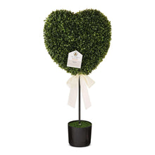 Green heart topiary with white bow ribbon and tag, in a black pot