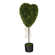 Small green heart topiary with white bow ribbon in black pot
