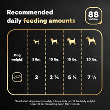 Cesar turkey recipe feeding chart showing daily amounts by dog weight