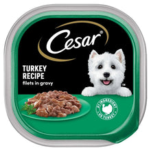 Cesar turkey recipe dog food tray with fillets in gravy, green label and dog photo