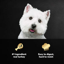 Cesar turkey recipe dog food promotion with white dog and badge icons