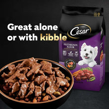 Cesar dog food pouch with bowl of wet food and kibble, turkey flavor display
