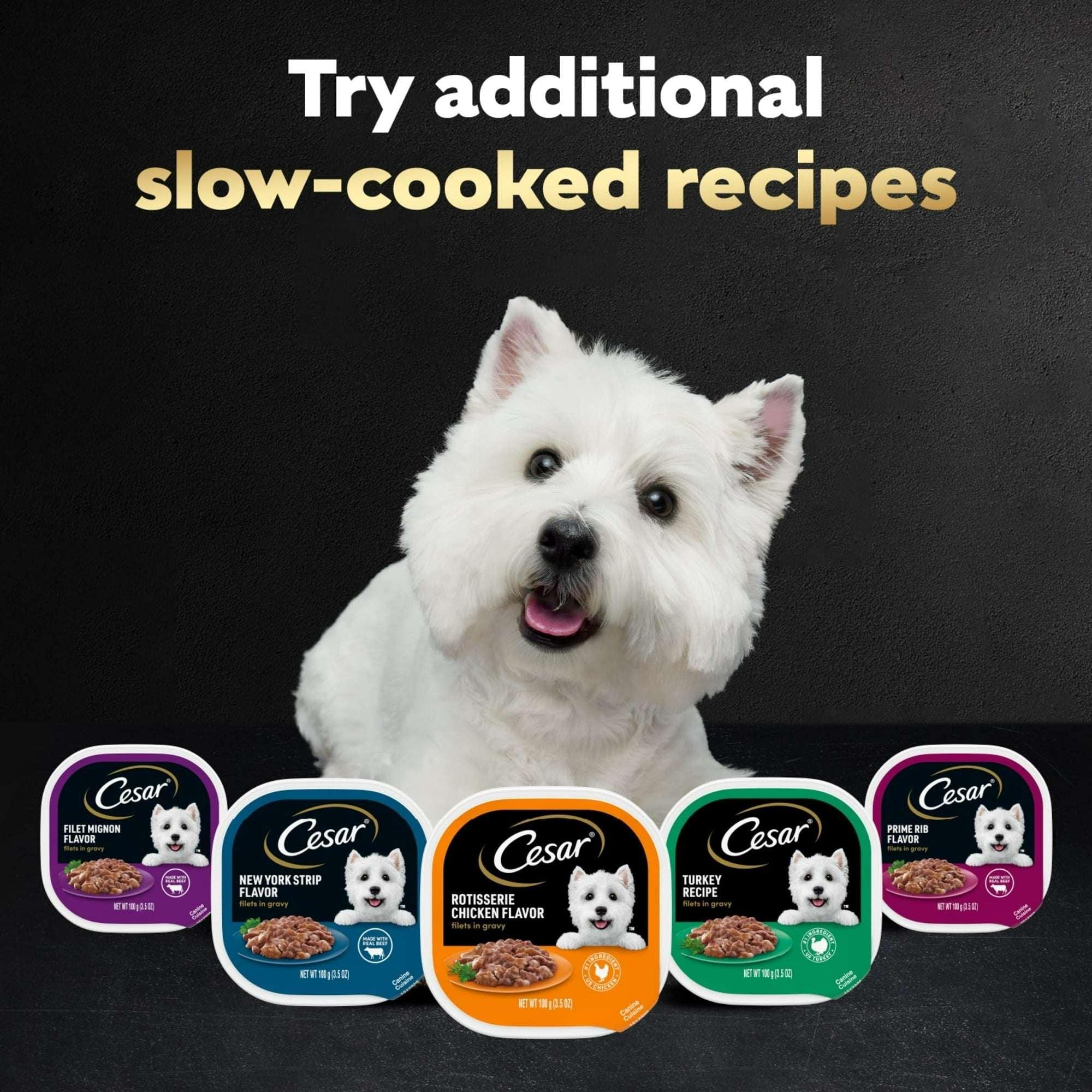 (3 pack) Cesar Filets in Gravy Turkey Recipe Flavor Adult Wet Dog Food, 3.5 oz Tray