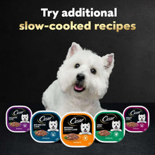 Cesar slow-cooked recipes variety tray pack with white dog and product icons