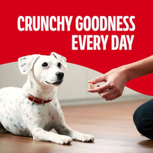 White dog lying down while a hand reaches toward it in a pet treat promo