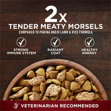 Dry dog food kibble in a bowl with benefit icons and text callouts