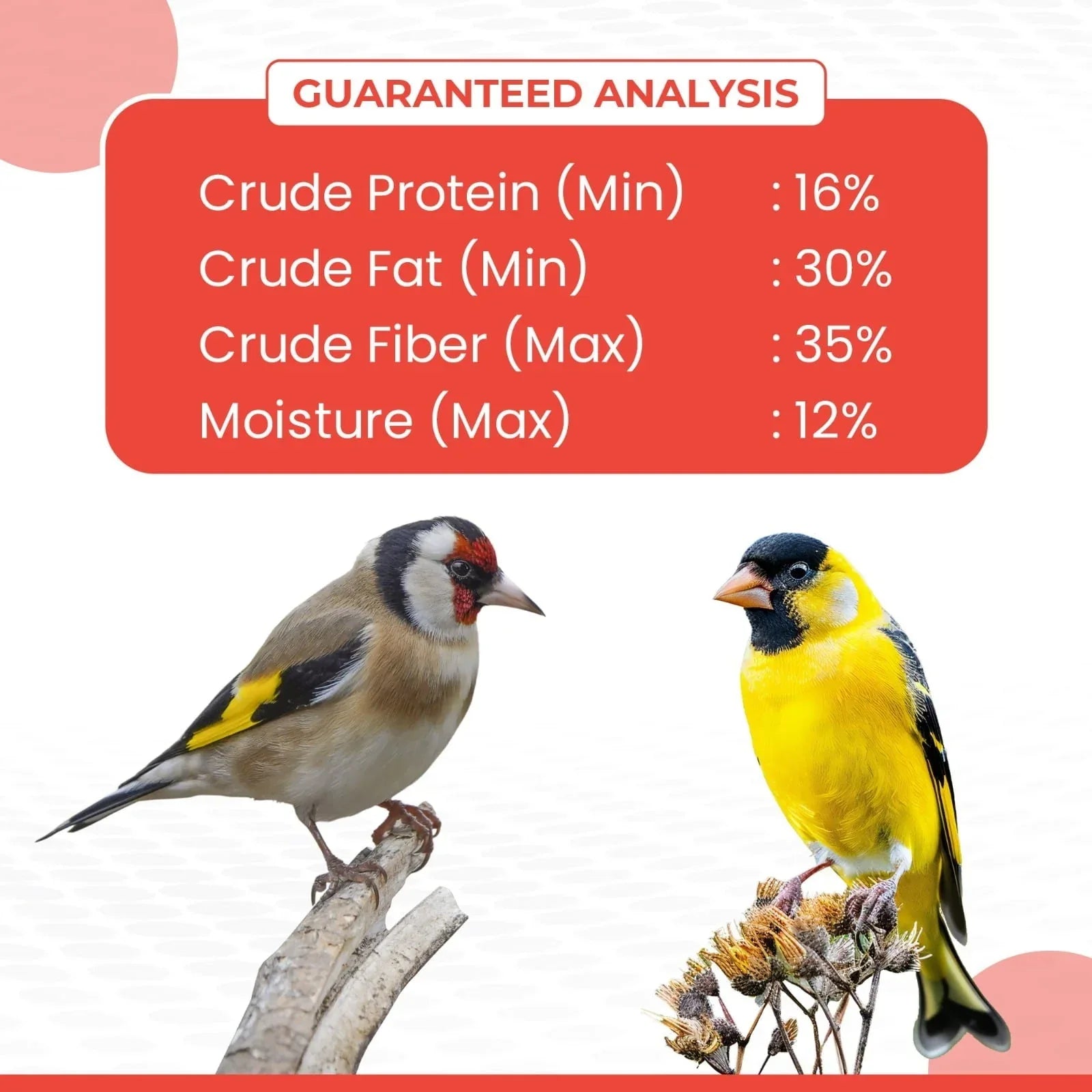 Vibrant Life Nyjer Thistle Seed Wild Bird Food for Finches, 10 lb Bag - USA MEGA SHOP