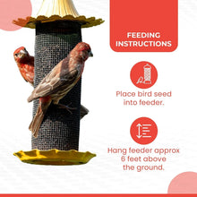 Feeding instructions showing place bird seed into feeder and hang 6 feet above ground