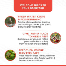 Backyard guide instructions for birds: provide fresh water and safe feeding spots