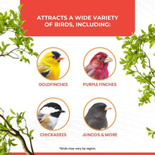 Attracts a variety of birds chart with goldfinches, purple finches, chickadees, juncos