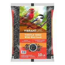 Thistle seed wild bird food bag, 10 lb, front label with seed and songbirds